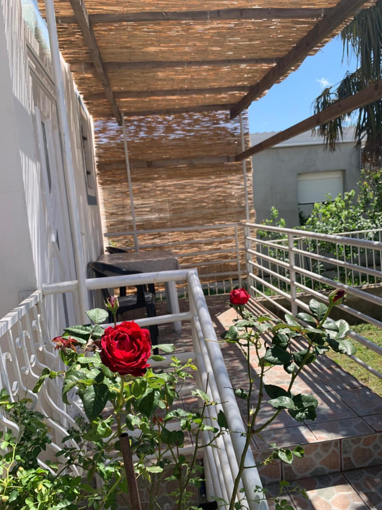 Apartmani Antonela Seline Bagian luar foto
